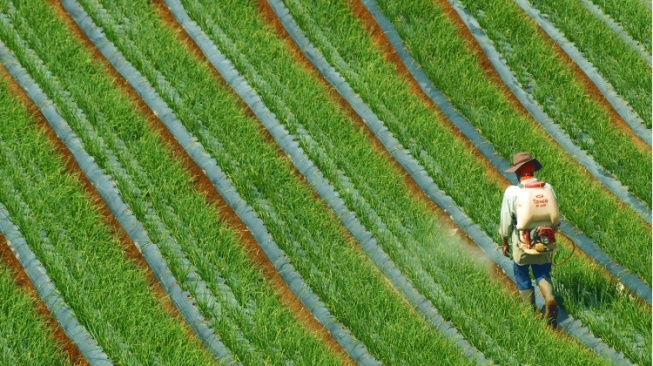 Bantu Ekonomi Negara, Tapi Hilirisasi Industri Agro Masih Minim