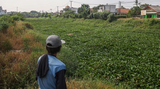 Warga melihat tanaman eceng gondok yang memenuhi Kali Blencong di Tarumajaya, Kabupaten Bekasi, Jawa Barat, Senin (6/7/2026). [ANTARA FOTO/Darryl Ramadhan/nz]