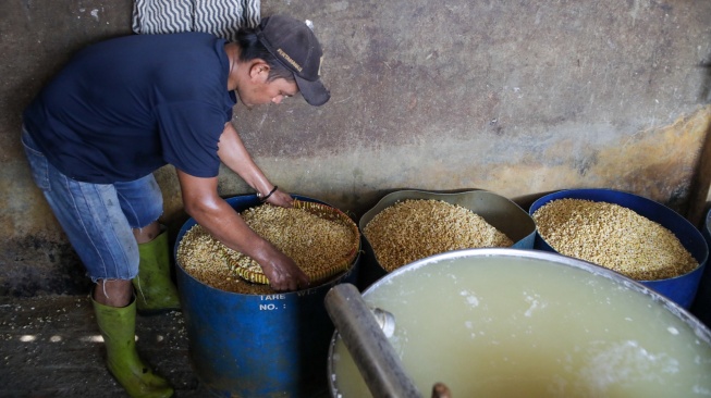 Pekerja menyelesaikan pembuatan tahu di Pabrik Rumahan kawasan Mampang, Jakarta, Selasa (7/7/2026). [Suara.com/Alfian Winanto]