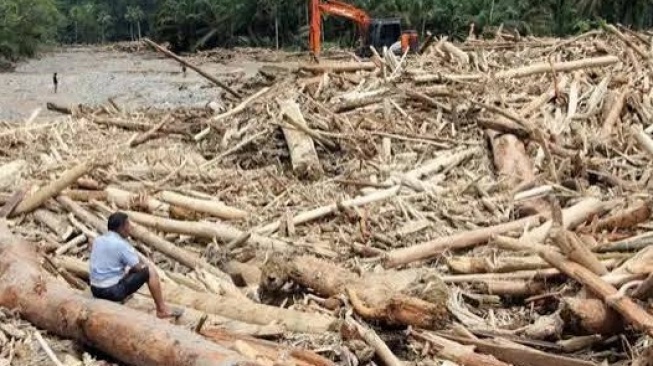 Mengapa Penebangan Hutan Bisa Membuat Banjir Semakin Sering Terjadi?