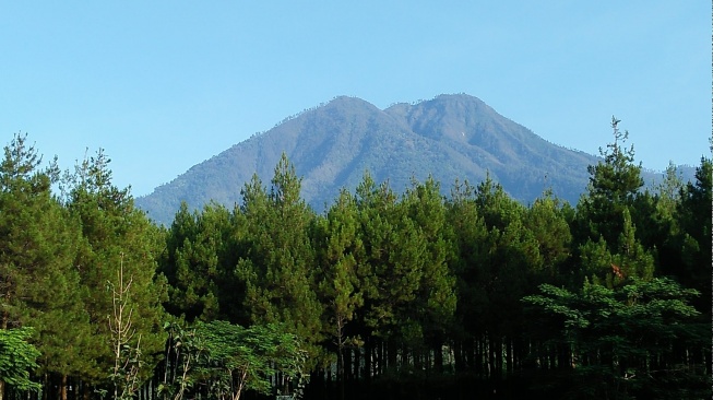 Gunung Kawi (Wikimedia Commons/OGNelson9)