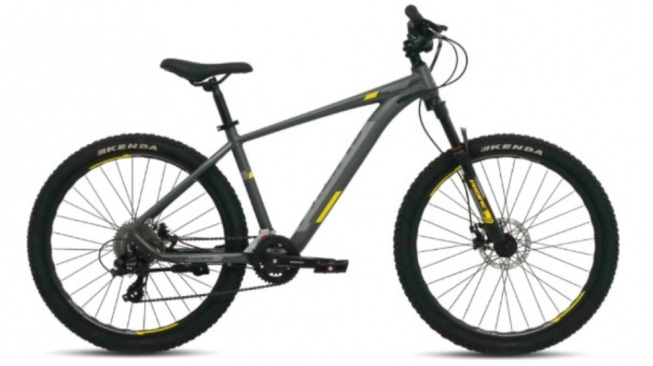 Pacific MTB Vigilon 2.0