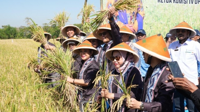 Komisi IV DPR Bersama Bulog Dorong Peningkatan Kesejahteraan Petani Klaten