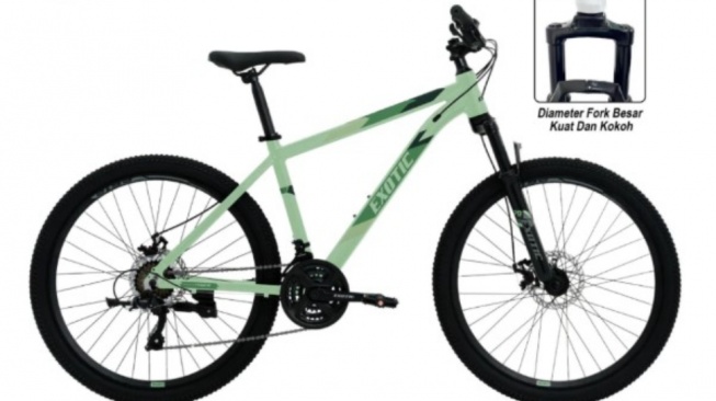 Pacific MTB Exotic ET-2612 MX Frame Alloy 6061