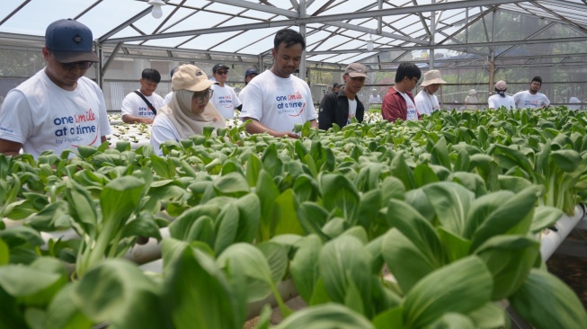 Ketika Ketahanan Pangan Dimulai dari Kebun Warga hingga Dapur Keluarga