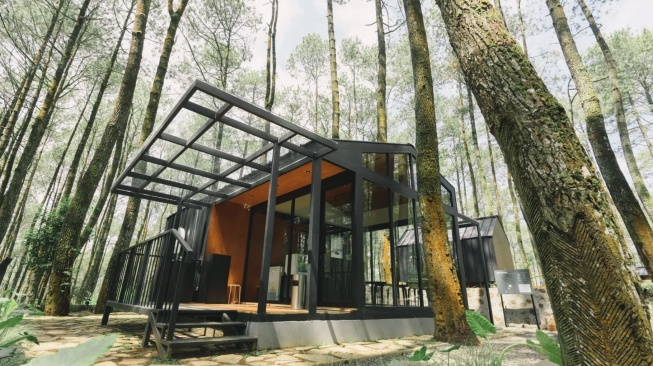 3 Rekomendasi Glamping di Bandung dengan Suasana Hutan Pinus Dekat Tangkuban Perahu