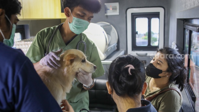 Petugas memeriksa kesehatan hewan peliharaan warga di mobil Klinik Hewan Keliling Jakarta, di Jakarta, Rabu (15/7/2026). [Suara.com/Alfian Winanto]