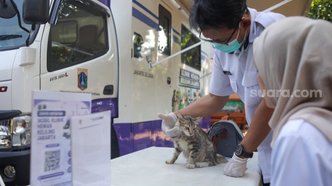 Petugas memeriksa kesehatan hewan peliharaan warga di mobil Klinik Hewan Keliling Jakarta, di Jakarta, Rabu (15/7/2026). [Suara.com/Alfian Winanto]