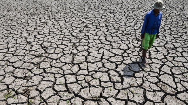Petani memperlihatkan kondisi sawah irigasi anak Sungai Cimulu yang mengering di Kampung Ciwasmandi, Kelurahan Sukajaya, Kecamatan Purbaratu, Kota Tasikmalaya, Jawa Barat, Kamis (16/7/2026). [ANTARA FOTO/Adeng Bustomi/nz]
