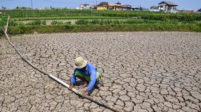 Petani memeriksa pipa air ubi di lahan sawah irigasi anak Sungai Cimulu yang mengering di Kampung Ciwasmandi, Kelurahan Sukajaya, Kecamatan Purbaratu, Kota Tasikmalaya, Jawa Barat, Kamis (16/7/2026). [ANTARA FOTO/Adeng Bustomi/nz]