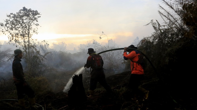 Petugas Badan Penanggulangan Bencana Daerah (BPBD) Aceh Barat melakukan proses pemadaman dan pendinginan kebakaran hutan dan lahan (karhutla) di kawasan lahan gambut Desa Cot Seumeureng, Kecamatan Samatiga, Aceh Barat, Aceh, Minggu (19/7/2026). [ANTARA FOTO/Syifa Yulinnas/wsj]
