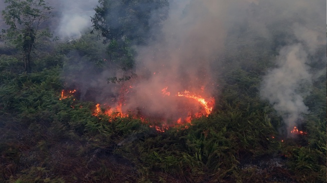 Foto udara api membakar semak belukar di kawasan lahan gambut Desa Cot Seumeureng, Kecamatan Samatiga, Aceh Barat, Aceh, Minggu (19/7/2026). [ANTARA FOTO/Syifa Yulinnas/wsj]