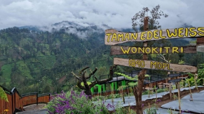 Bukan Cuma Nonton Konser! Ini 3 Destinasi Wajib Mampir Saat Kamu ke Jazz Gunung Bromo 2026 (Dok. Istimewa)