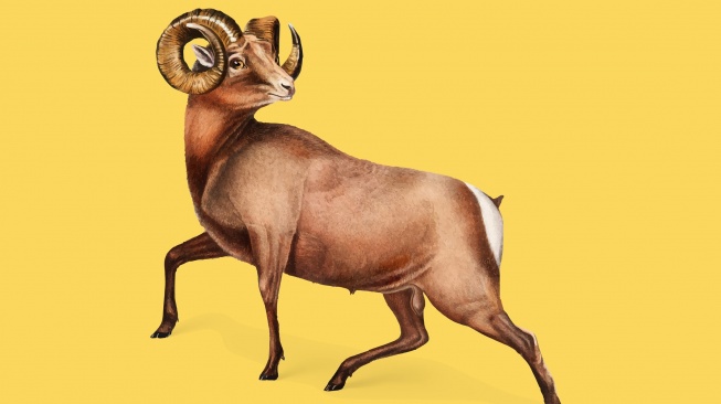 Sifat dan Karakter Shio Kambing dari Positif hingga Negatif