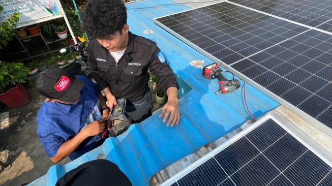 Berkebun di Kota Kini Lebih Hemat, Panel Surya Jadi Solusi untuk Urban Farming