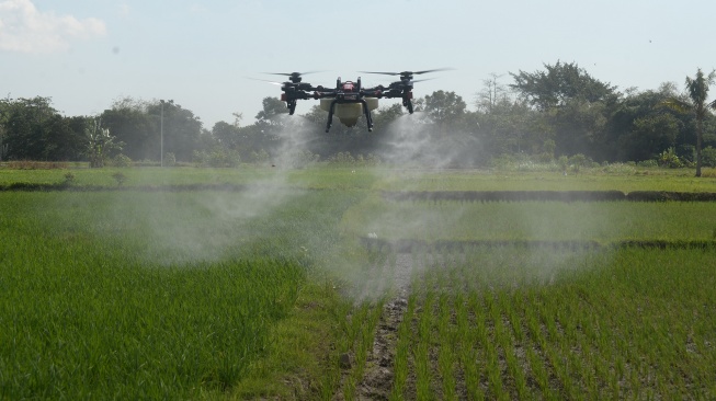 Pesawat tanpa awak atau drone pertanian menyemprotkan pestisida saat gerakan pengendalian hama terpadu wereng batang coklat di Batan, Banyudono, Boyolali, Jawa Tengah, Rabu (22/7/2026). [ANTARA FOTO/Aloysius Jarot Nugroho/bar]
