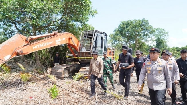 Ratusan Hektare Mangrove di Riau Habis Dibabat, Kapolda Turun Tangan