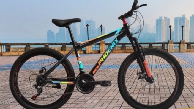 Sepeda Gunung MTB 24-26 Inch Phoenix BB Sudah Bearing