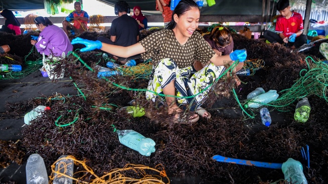 Pekerja menjahit bibit rumput laut jenis Kappaphycus alvarezii di Desa Liang Bunyu, Sebatik Barat, Kabupaten Nunukan, Kalimantan Utara, Jumat (24/7/2026). [ANTARA FOTO/M Risyal Hidayat/sgd]
