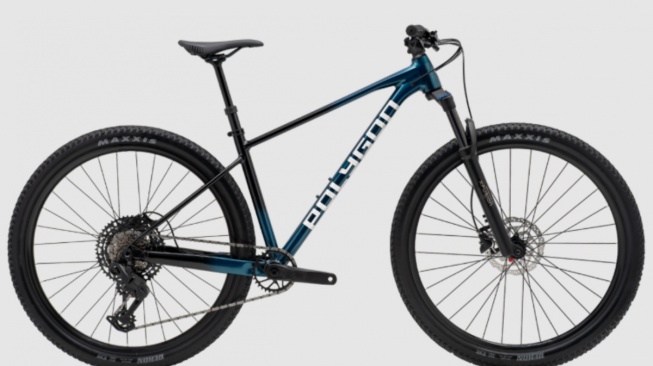 MTB hardtrail Polygon Xtrada 7. [Polygon]