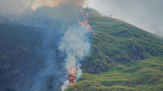 Titik kebakaran hutan di kawasan Perhutani RPH Sukapura, Blok Gunung Ringgit, Desa Sapikerep, Kecamatan Sukapura, Kabupaten Probolinggo, Jawa Timur, Minggu (26/7/2026). [ANTARA FOTO/Irfan Sumanjaya/agr]
