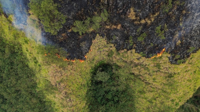 Foto udara kebakaran hutan di kawasan Perhutani RPH Sukapura, Blok Gunung Ringgit, Desa Sapikerep, Kecamatan Sukapura, Kabupaten Probolinggo, Jawa Timur, Minggu (26/7/2026). [ANTARA FOTO/Irfan Sumanjaya/agr]