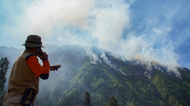 Petugas menunjukkan titik kebakaran hutan di kawasan Perhutani RPH Sukapura, Blok Gunung Ringgit, Desa Sapikerep, Kecamatan Sukapura, Kabupaten Probolinggo, Jawa Timur, Sabtu (25/7/2026). [ANTARA FOTO/Irfan Sumanjaya/agr]