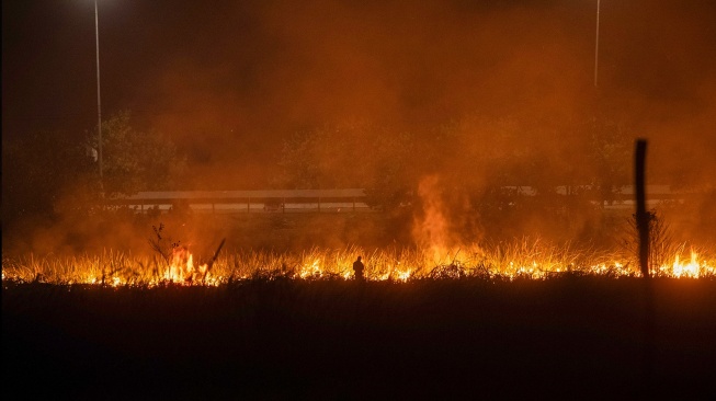 Petugas dari Manggala Agni Daops Sumatera XIV-Banyuasin berusaha memadamkan kebakaran lahan di sisi gerbang tol kramasan di Desa Ibul Besar I, Pemulutan, Ogan Ilir (OI), Sumatera Selatan, Minggu (26/7/2026). [ANTARA FOTO/Nova Wahyudi]
