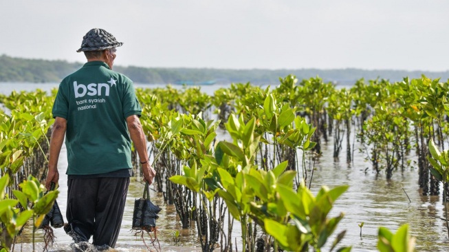 Bank Syariah Nasional (Bank BSN) bersama Mahasiswa Peduli Lingkungan Pesisir melaksanakan kegiatan monitoring pertumbuhan mangrove di kawasan konservasi Eco Mangrove Segara Ayu, Bali, Minggu (26/07/2026). [handout]