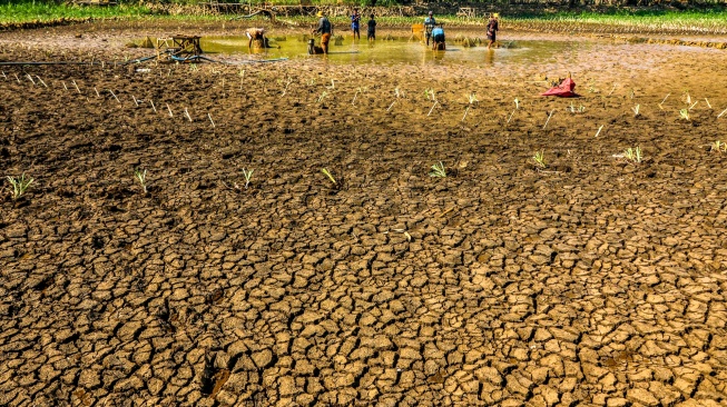 Warga memanfaatkan sisa genangan air di Telaga Kedung Giriwungu yang mengering di Kapanewon Panggang, Kabupaten Gunungkidul, DI Yogyakarta, Selasa (28/7/2026). [ANTARA FOTO/Rahid Putra Laksana/agr/ky]