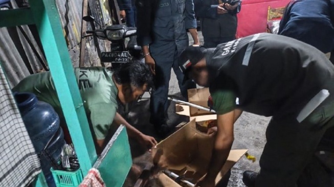 Tawarkan Burung Kasturi Lewat Facebook, Pria Jayapura Tak Sadar Diincar Intelijen Siber