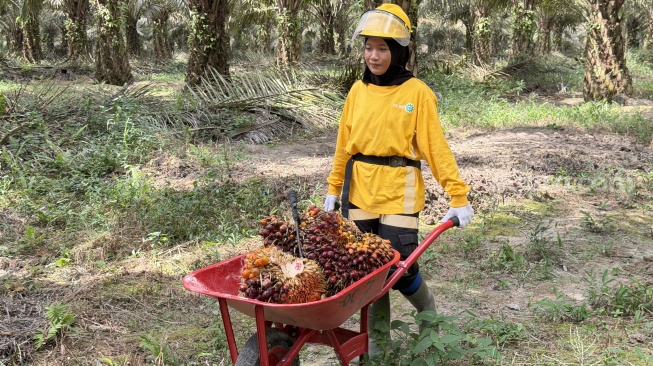 Modernisasi Pertanian Tak Cukup dengan Alat, Pengetahuan Petani Harus Ditingkatkan