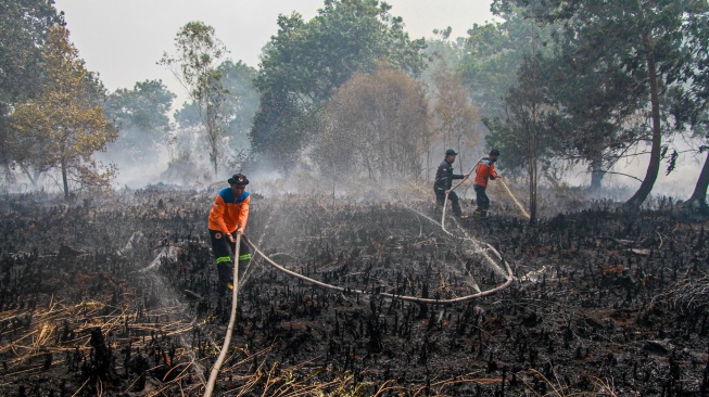 Petugas memadamkan sisa api yang membakar lahan gambut di Kelurahan Kameloh Baru, Palangka Raya, Kalimantan Tengah, Rabu (29/7/2026). [ANTARA FOTO/Auliya Rahman/wsj]