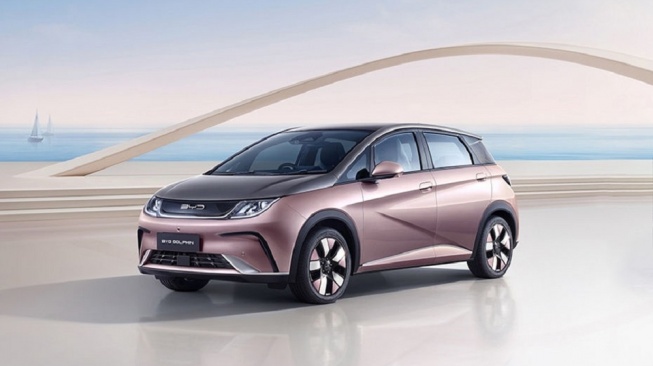 BYD Dolphin Dynamic (BYD)