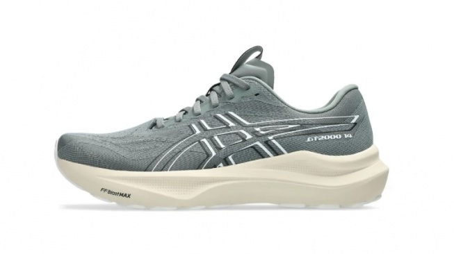 Asics GT-2000 14 (Asics)
