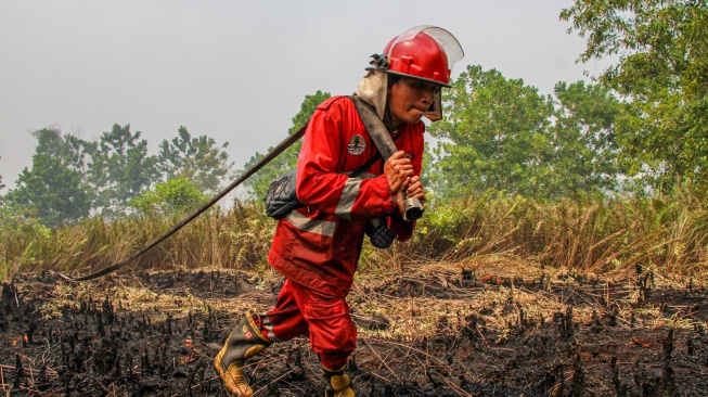 Petugas Manggala Agni Daops Palangka Raya menarik selang air saat pemadaman kebakaran lahan gambut di Kelurahan Kameloh Baru, Palangka Raya, Kalimantan Tengah, Rabu (29/7/2026). [ANTARA FOTO/Auliya Rahman/wsj]