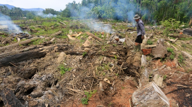 Seorang warga membersihkan material kayu bencana hidrometeorologi di area persawahan Desa Lawet, Kecamatan Pante Ceureumen, Aceh Barat, Aceh, Rabu (29/7/2026). [ANTARA FOTO/Syifa Yulinnas/wsj]
