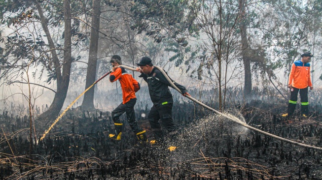 Petugas memadamkan sisa api yang membakar lahan gambut di Kelurahan Kameloh Baru, Palangka Raya, Kalimantan Tengah, Rabu (29/7/2026). [ANTARA FOTO/Auliya Rahman/wsj]