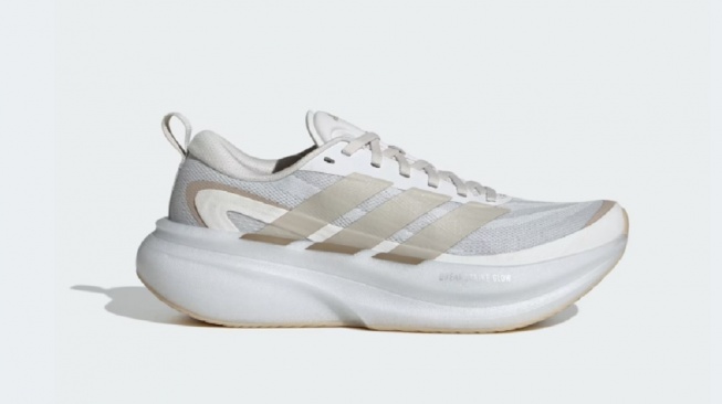 Adidas Supernova Glide (Adidas)