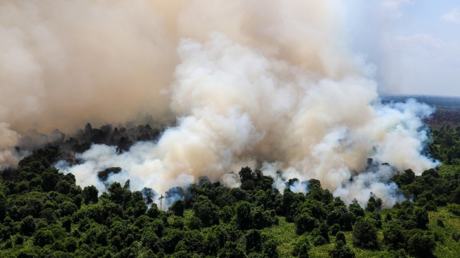 Foto udara asap membumbung tinggi dari kebakaran hutan dan lahan gambut di Kabupaten Ketapang, Kalimantan Barat, Jumat (31/7/2026). [ANTARA FOTO/Jessica Wuysang/YU]