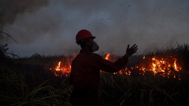 Petugas dari Manggala Agni Daops Sumatera XIV-Banyuasin berusaha memadamkan kebakaran lahan di Desa Arisan Jaya, Pemulutan Barat, Ogan Ilir (OI), Sumatera Selatan, Senin (3/8/2026). [ANTARA FOTO/Nova Wahyudi/wsj]