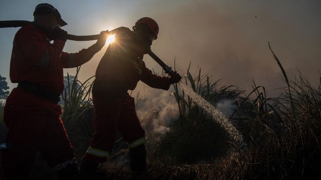 Petugas dari Manggala Agni Daops Sumatera XIV-Banyuasin berusaha memadamkan kebakaran lahan di Desa Arisan Jaya, Pemulutan Barat, Ogan Ilir (OI), Sumatera Selatan, Senin (3/8/2026). [ANTARA FOTO/Nova Wahyudi/wsj]