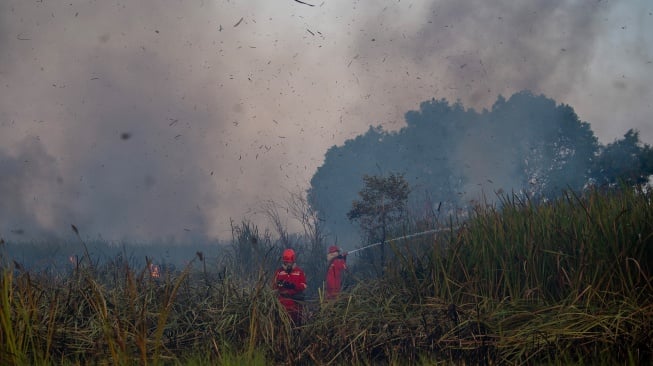 Petugas dari Manggala Agni Daops Sumatera XIV-Banyuasin berusaha memadamkan kebakaran lahan di Desa Arisan Jaya, Pemulutan Barat, Ogan Ilir (OI), Sumatera Selatan, Senin (3/8/2026). [ANTARA FOTO/Nova Wahyudi/wsj]