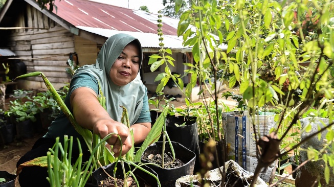 17 Tahun Menunggu, Transmigran di Kerinci Masih Hidup Tanpa Listrik