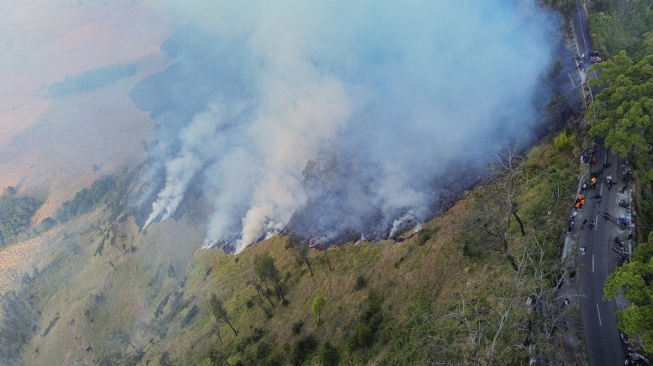 Foto udara sejumlah petugas berupaya memadamkan kebakaran hutan di Blok Bantengan, kawasan Taman Nasional Bromo Tengger Semeru (TNBTS), Kabupaten Probolinggo, Jawa Timur, Selasa (4/8/2026). [ANTARA FOTO/Irfan Sumanjaya/tom]
