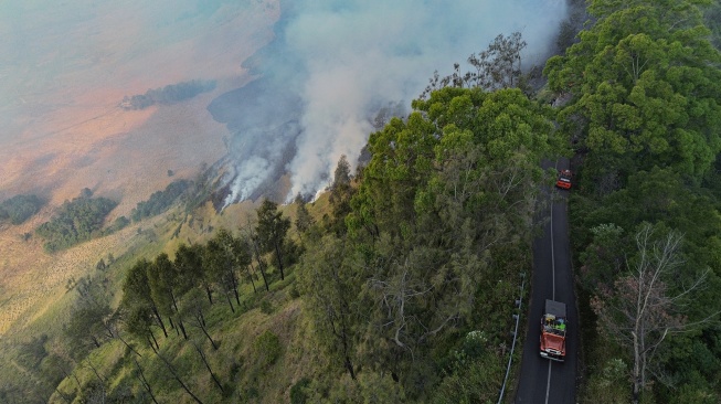 Bromo Dilanda Kebakaran Hutan, Akses Jemplang hingga Senduro Ditutup