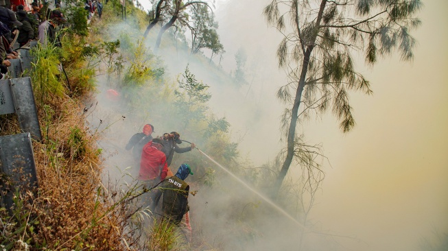 Sejumlah petugas berupaya memadamkan kebakaran hutan di Blok Bantengan, kawasan Taman Nasional Bromo Tengger Semeru (TNBTS), Kabupaten Probolinggo, Jawa Timur, Selasa (4/8/2026). [ANTARA FOTO/Irfan Sumanjaya/tom]