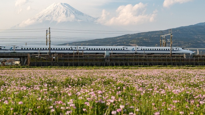 Cara Pesan Tiket Shinkansen untuk Liburan di Jepang, Kini Bisa Lebih Praktis dari Indonesia