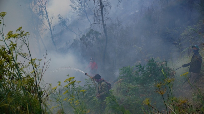 Sejumlah petugas berupaya memadamkan kebakaran hutan di Blok Bantengan, kawasan Taman Nasional Bromo Tengger Semeru (TNBTS), Kabupaten Probolinggo, Jawa Timur, Selasa (4/8/2026). [ANTARA FOTO/Irfan Sumanjaya/tom]