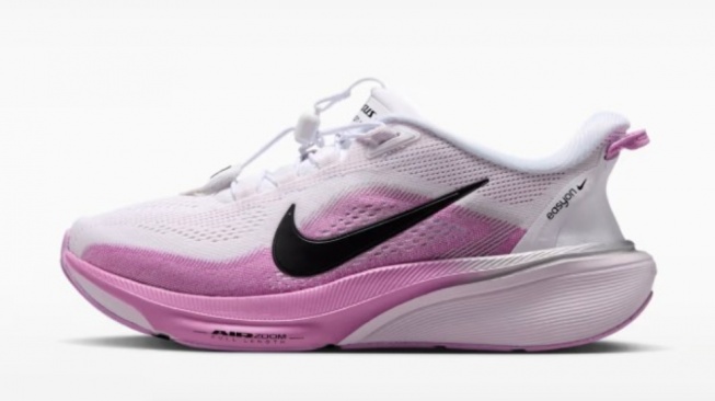 Nike Pegasus 42 EasyOn